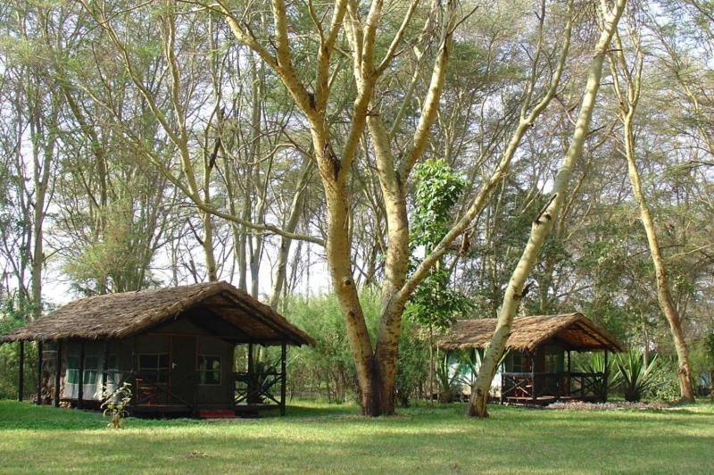 Migunga Tented Camp Mto wa Mbu Buitenkant foto