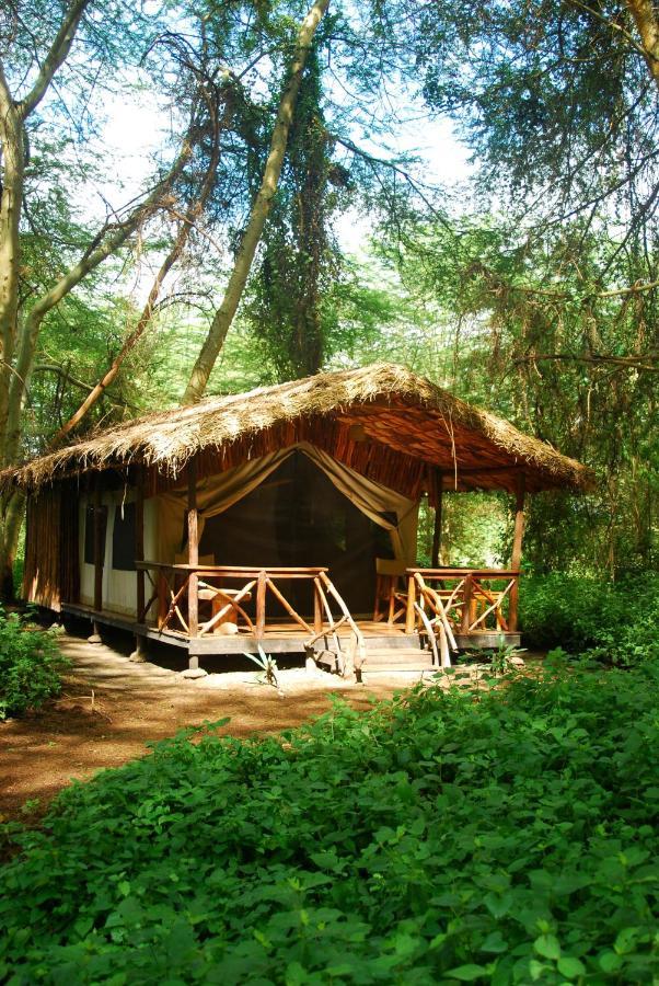 Migunga Tented Camp Mto wa Mbu Buitenkant foto