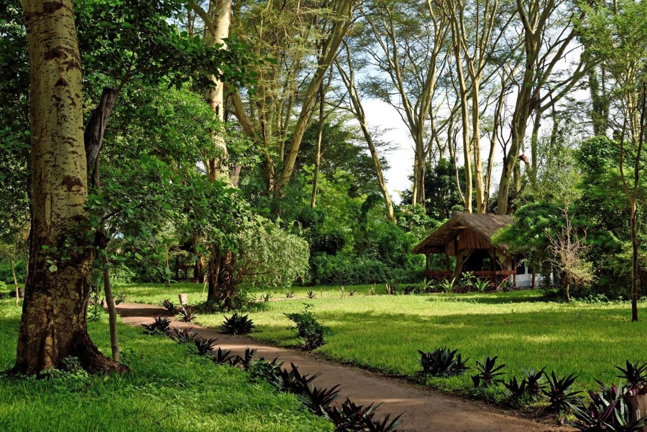 Migunga Tented Camp Mto wa Mbu Buitenkant foto