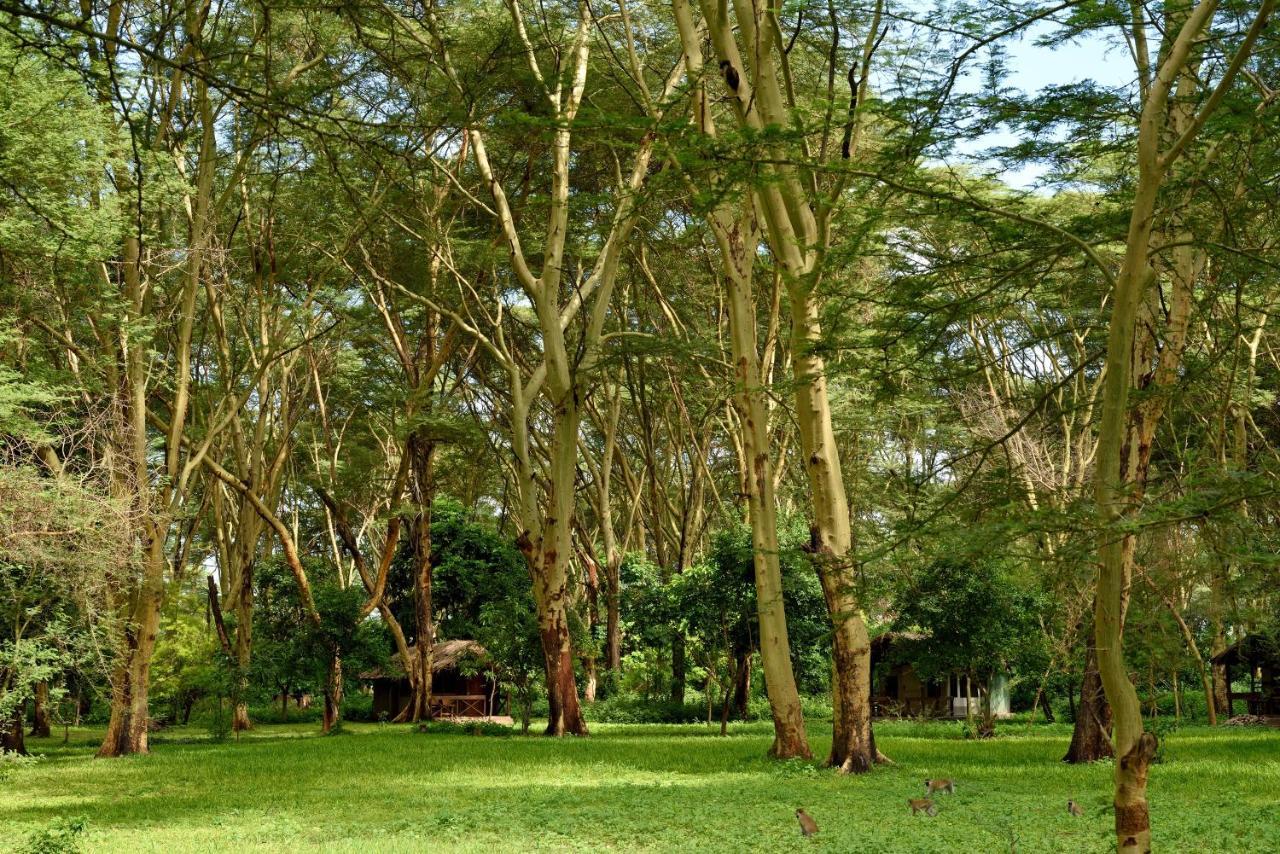 Migunga Tented Camp Mto wa Mbu Buitenkant foto
