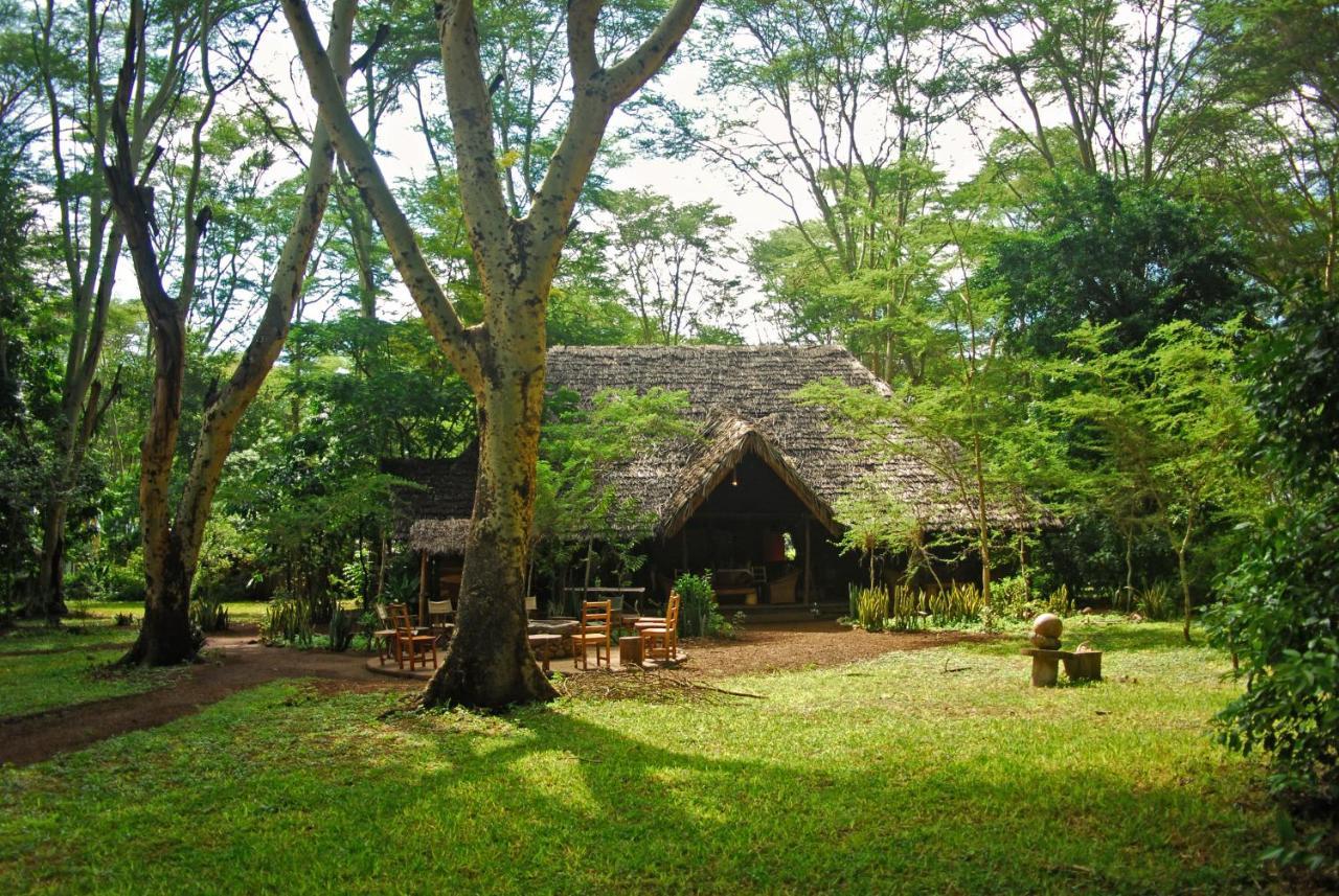 Migunga Tented Camp Mto wa Mbu Buitenkant foto