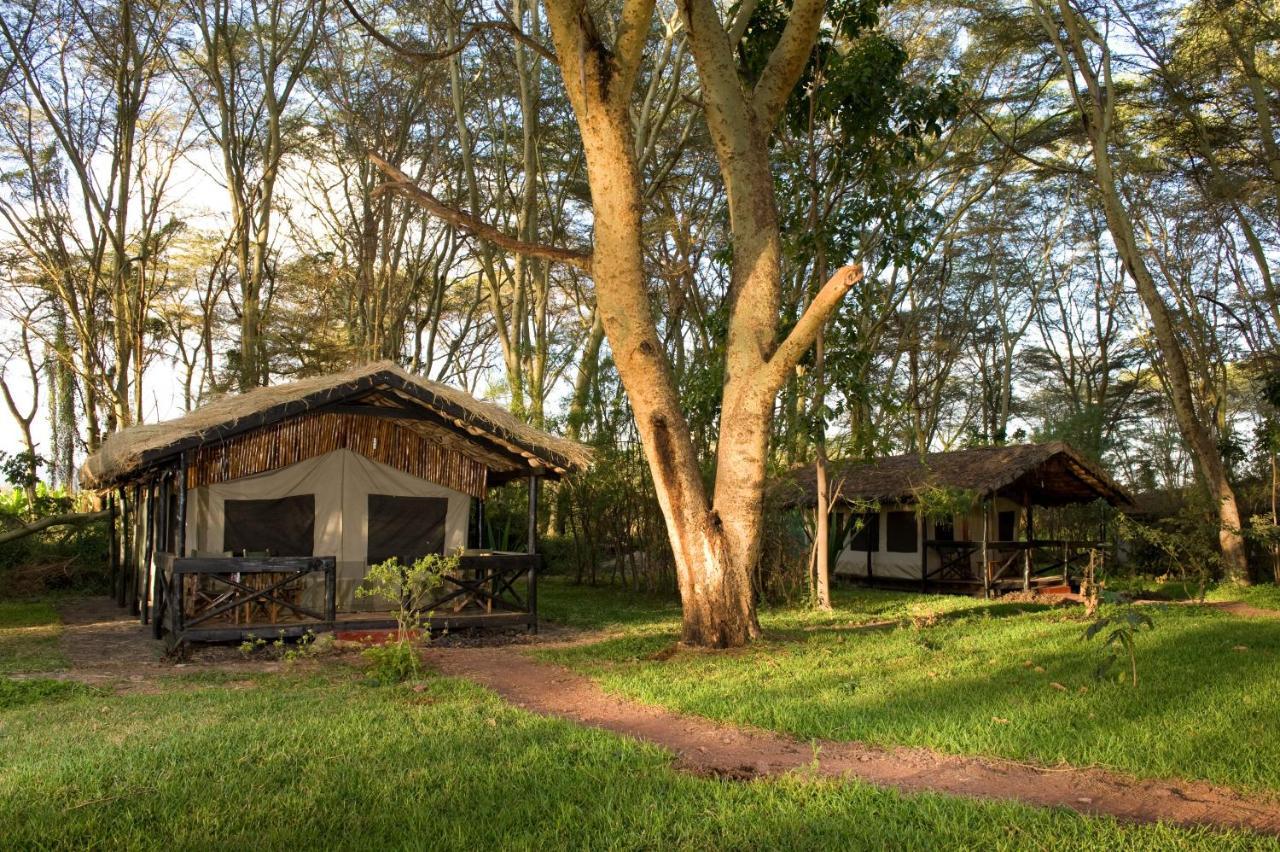 Migunga Tented Camp Mto wa Mbu Buitenkant foto